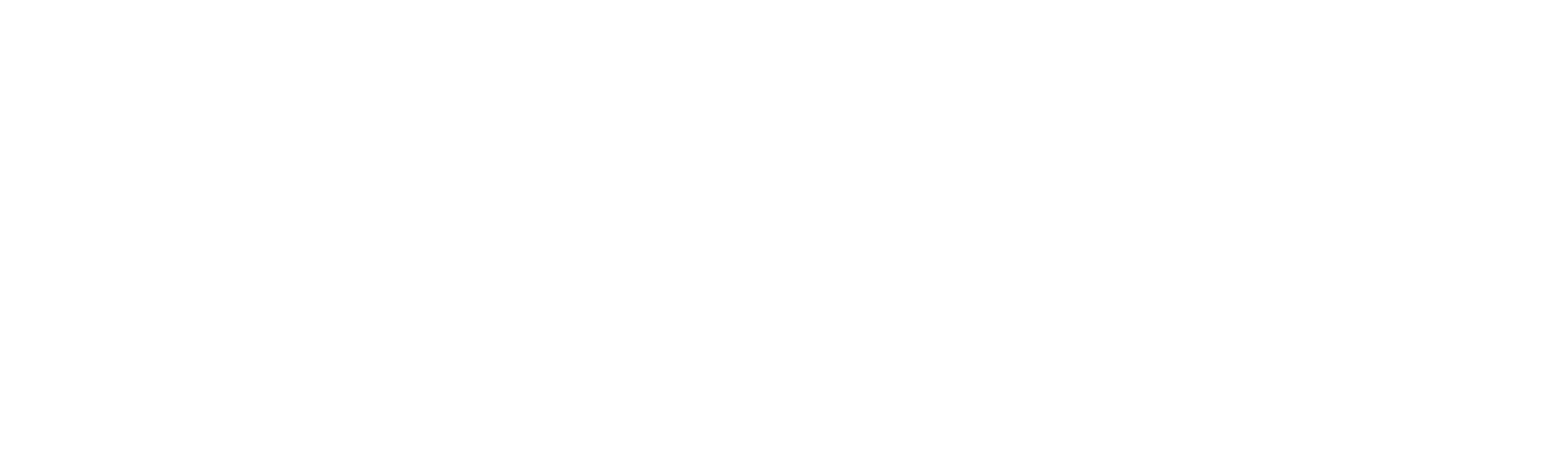 Wit DSNW logo